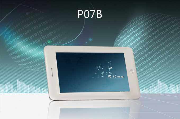 P07B